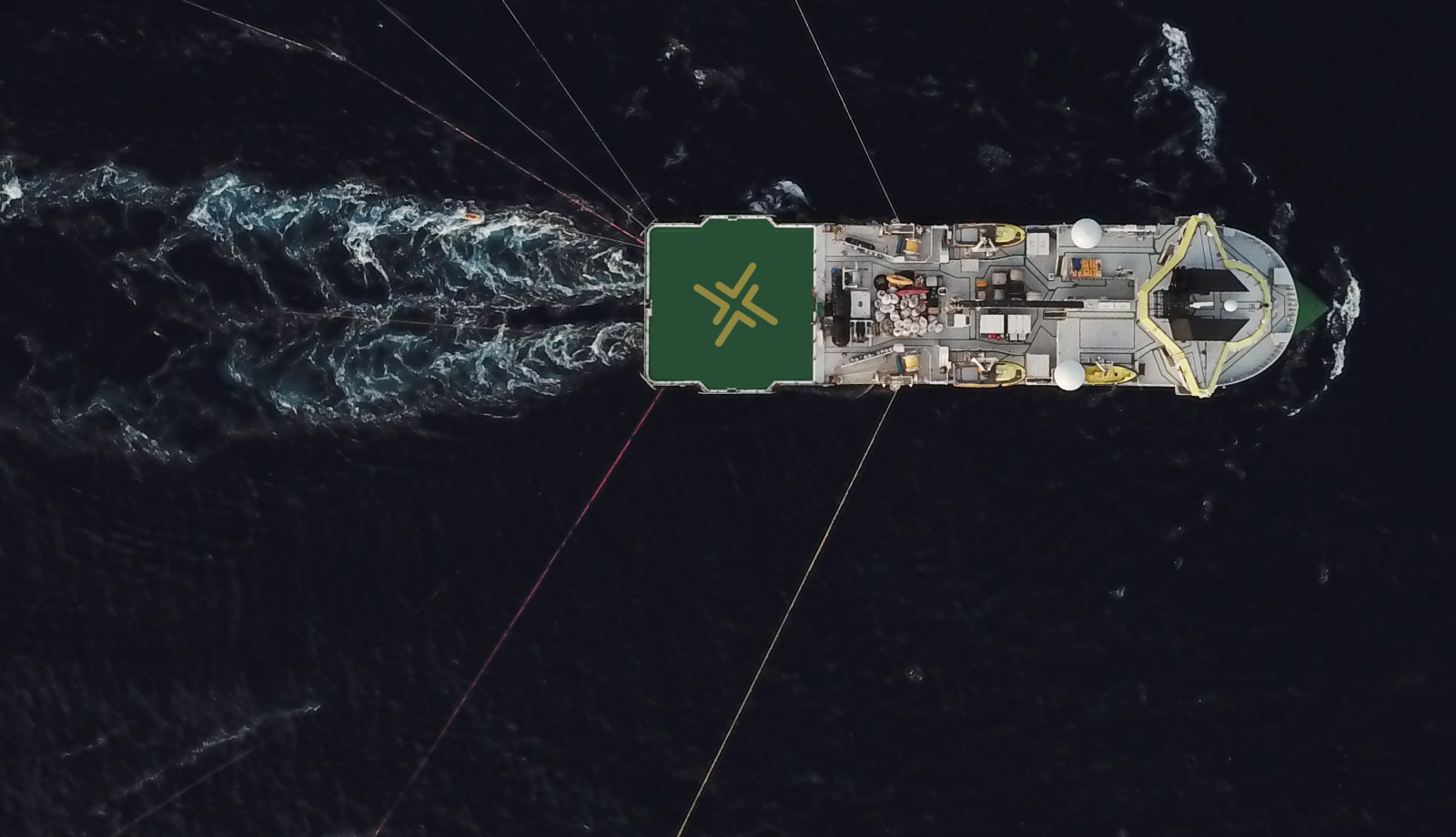 Migration & Rebuild of Vetergy.com